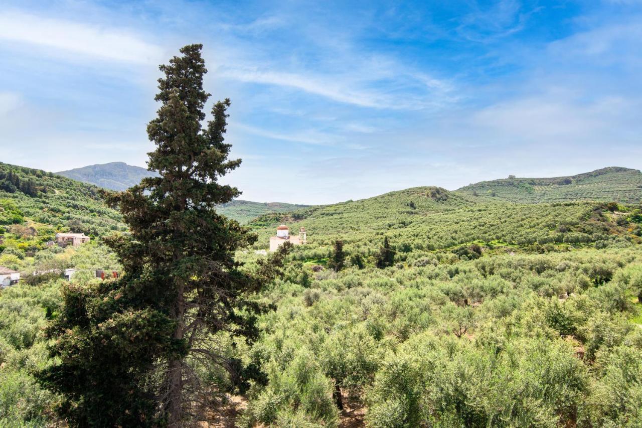 Вілла Achilleas Deluxe Αpartment -Pet Friendly-Parking-Mountain View Kotsiana Екстер'єр фото