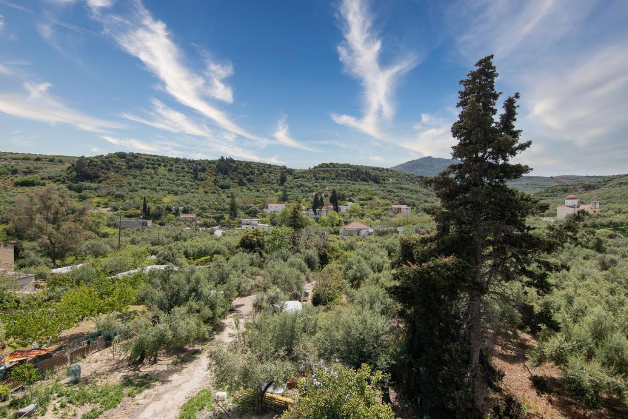 Вілла Achilleas Deluxe Αpartment -Pet Friendly-Parking-Mountain View Kotsiana Екстер'єр фото