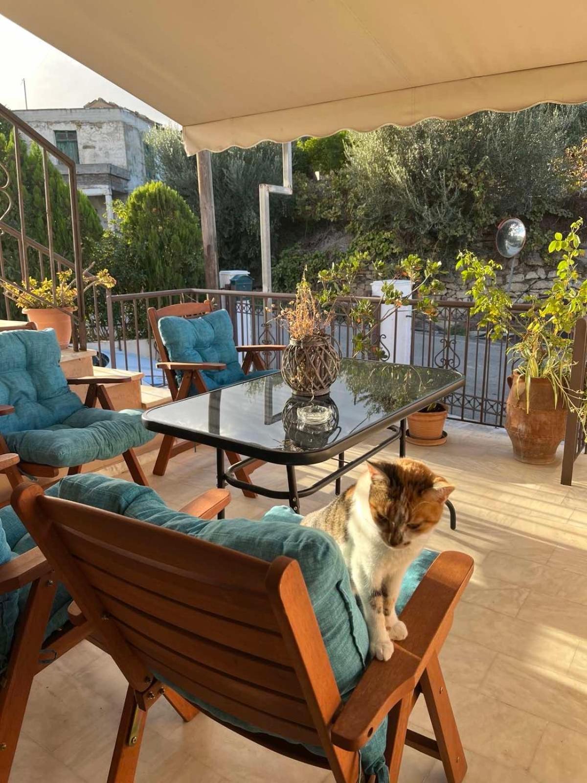 Вілла Achilleas Deluxe Αpartment -Pet Friendly-Parking-Mountain View Kotsiana Екстер'єр фото